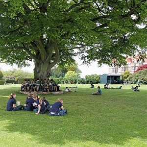 Packwood Haugh School